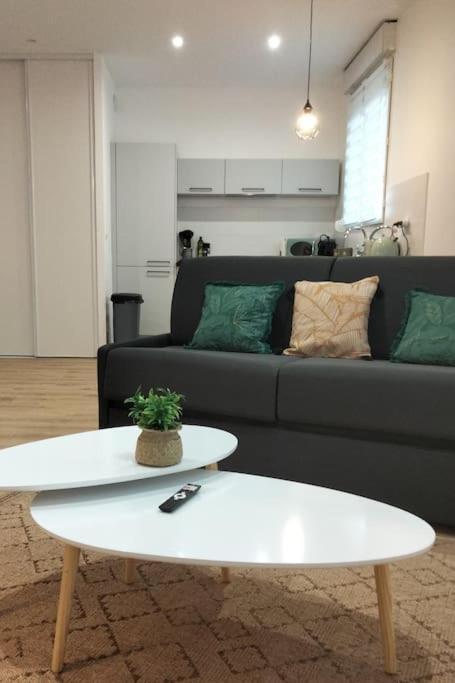L'Escale Balzac Appartement Villeurbanne Buitenkant foto